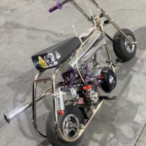 custom Minibike5