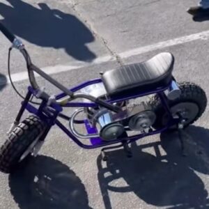 custom MiniBike5
