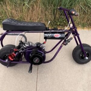 Purple GTS minibike5
